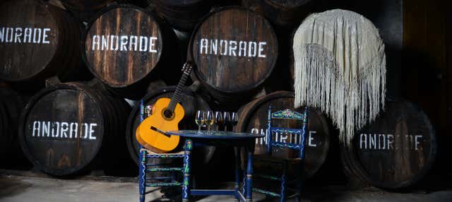 Visita a las Bodegas Andrade en Bollullos Condado