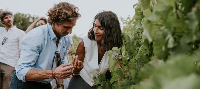 Visita a las Bodegas Arínzano en Estella