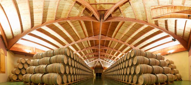 Visita a las bodegas Campillo en Laguardia