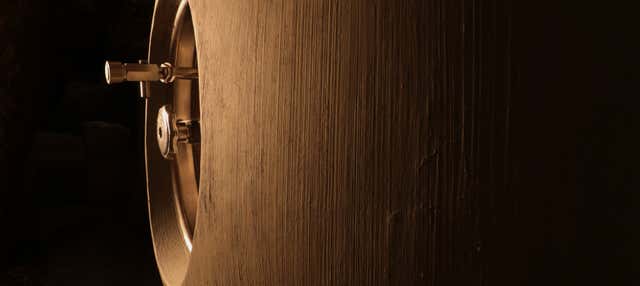 Visita a las Bodegas Campo Elíseo en La Seca