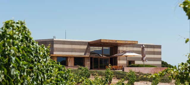 Visita a las Bodegas Campo Viejo en Logrono