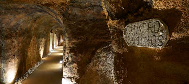 Visita a las Bodegas De Alberto en Serrada