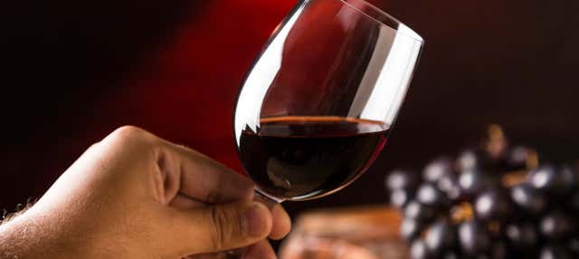 Visita a las bodegas Durón en Roa De Duero