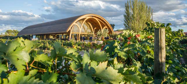 Visita a las Bodegas Faustino en Oyon