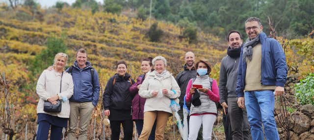 Visita a las Bodegas Ferrera en Arafo