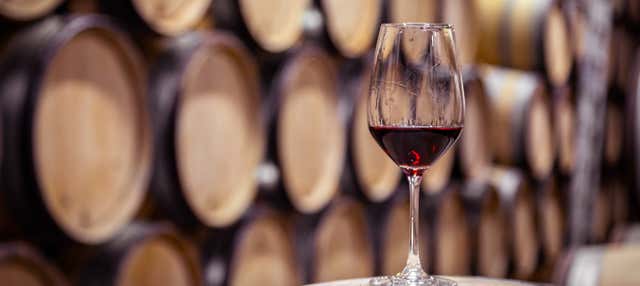 Visita a las bodegas Franco-Españolas en Logrono
