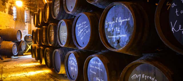 Visita a las Bodegas Fundador en Jerez