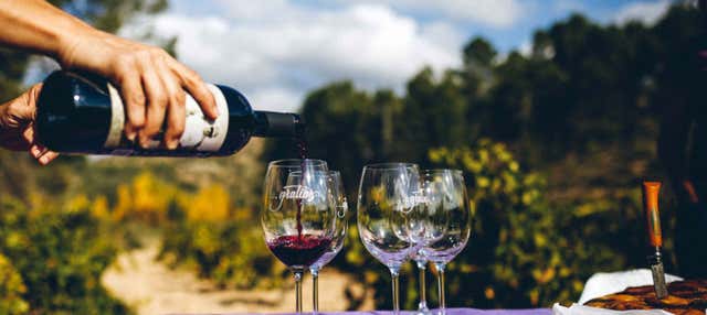 Visita a las bodegas Gratias en Casas Ibanez