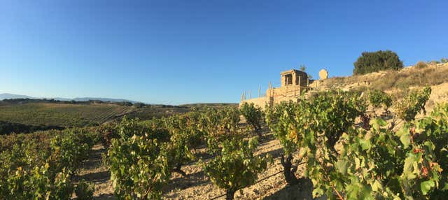 Visita a las bodegas Loli Casado en Lapuebla De Labarca