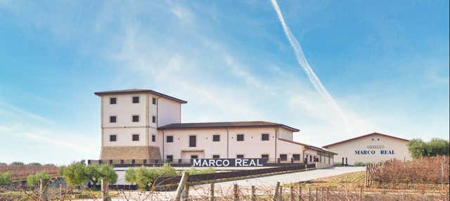 Visita a las bodegas Marco Real en Olite