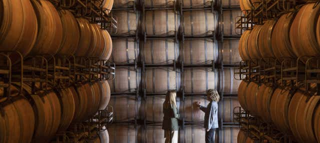 Visita a las bodegas Marqués de Cáceres en Cenicero
