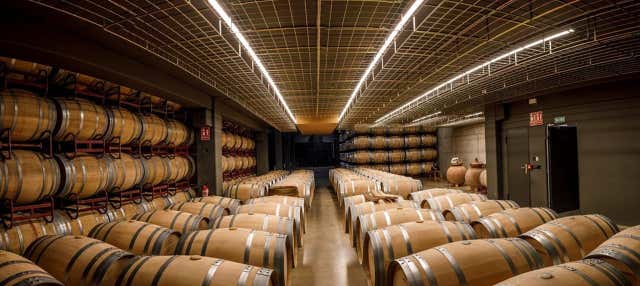 Visita a las Bodegas Martínez Alesanco en Badaran