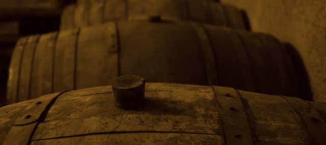 Visita a las bodegas Monje en El Sauzal