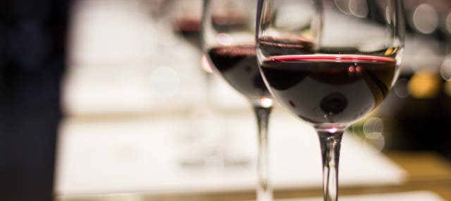 Visita a las bodegas Montecillo en Navarrete