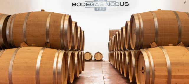 Visita a las Bodegas Nodus en Caudete De Las Fuentes