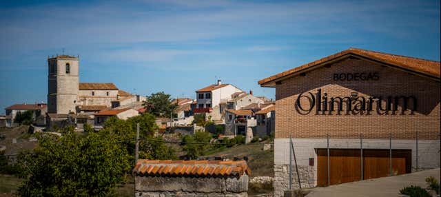 Visita a las bodegas Olimarum en Penafiel