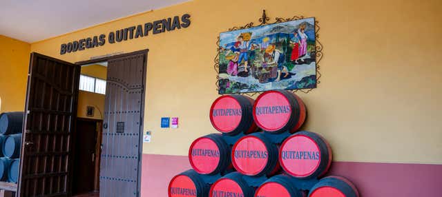 Visita a las Bodegas Quitapenas en Malaga