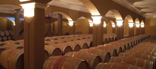 Visita a las bodegas Romale en Almendralejo