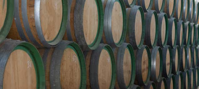 Visita a las bodegas Ron El Mondero en Salobrena
