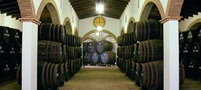 Visita a las bodegas Rubio de Luis Felipe en La Palma Del Condado