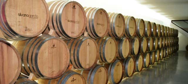Visita a las bodegas Silvano García en Jumilla