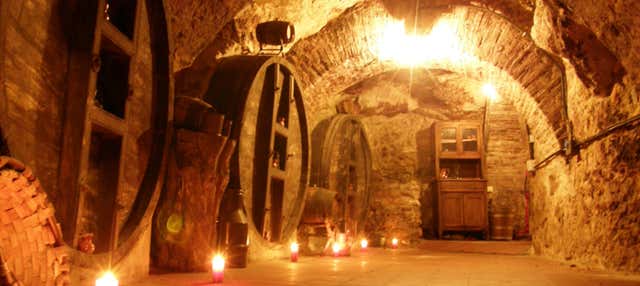 Visita a las bodegas subterráneas de Aranda de Duero en Aranda De Duero