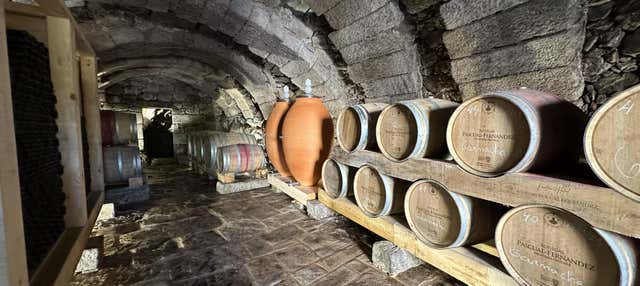 Visita a las bodegas subterráneas de Fermoselle en Fermoselle