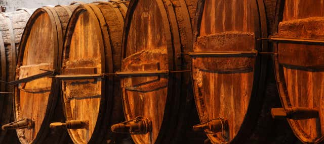 Visita a las bodegas Tío Pepe en Jerez