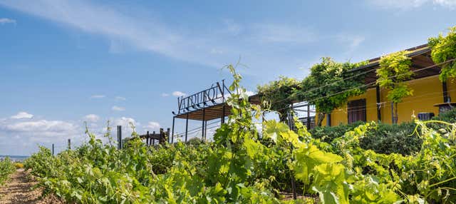 Visita a las Bodegas Valdubón en Aranda De Duero