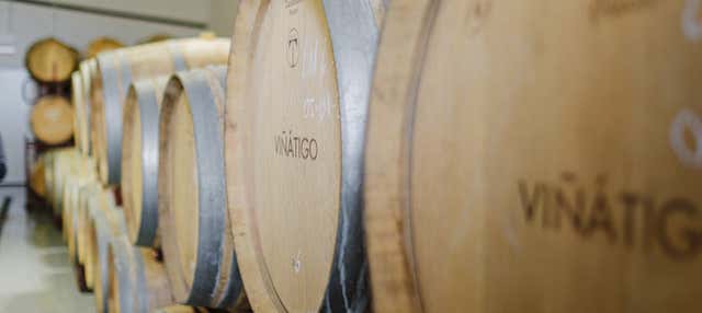 Visita a las Bodegas Viñátigo en La Guancha
