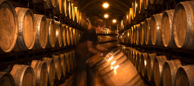 Visita a las bodegas Vinícola Real en Albelda De Iregua