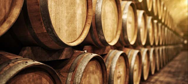 Visita a las Bodegas Yllera, El Hilo de Ariadna en Rueda