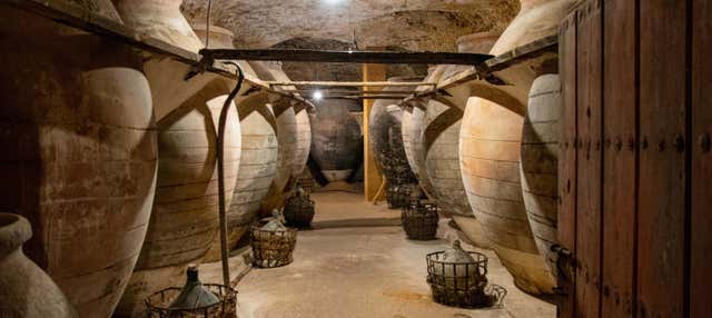 Visita a las cuevas-bodega de Tomelloso en Tomelloso