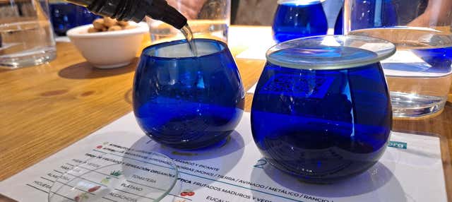 Visita a un olivar y una almazara + Cata de aceites y conservas en Oliete