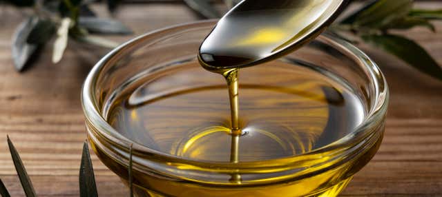 Visita a un olivar y una almazara + Cata de aceites en Cazorla