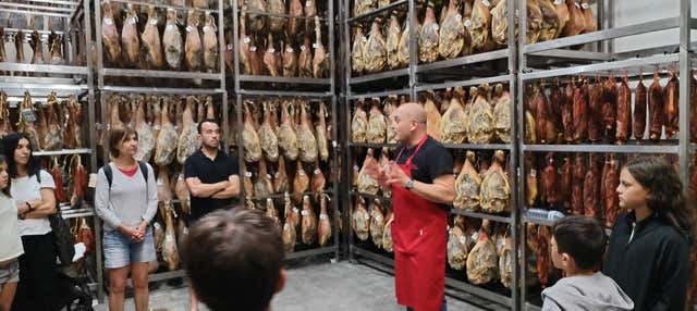 Visita a un secadero de jamones con degustación en Bronchales