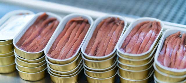 Visita a una fábrica de anchoas con degustación en Santona