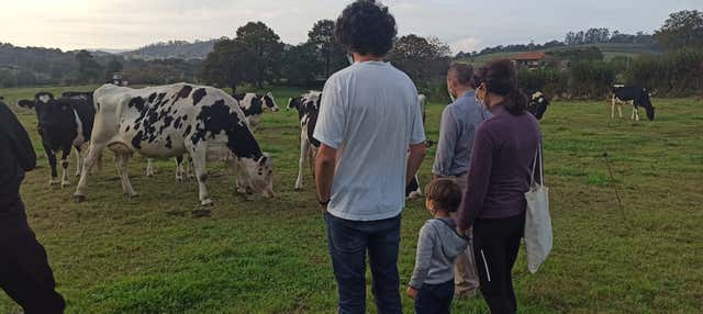 Visita a una granja de vacas lecheras en Nava