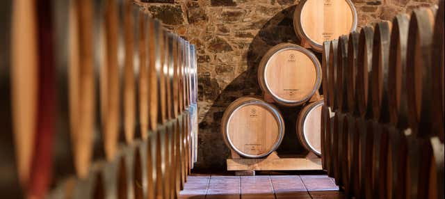 Visita a Viñedos y Bodegas Pittacum en Arganza