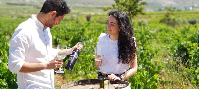 Visita al Cortijo El Cura + Cata de vinos en Laujar De Andarax