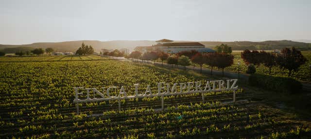 Visita al viñedo de la Finca La Emperatriz en Banos De Rioja