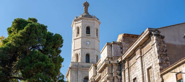 Visita de la Torre de la Catedral en Valladolid