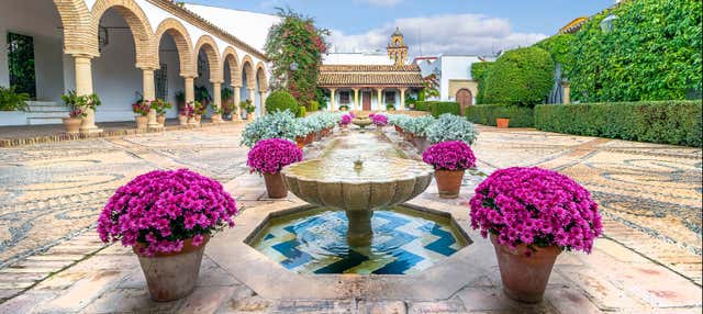 Visita del Palacio de Viana y sus patios en Cordoba