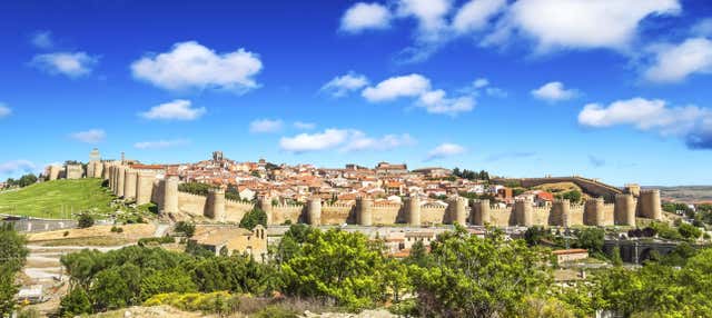 Visita guiada por Ávila en Avila