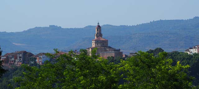 Visita guiada por Borjas Blancas en Borjas Blancas