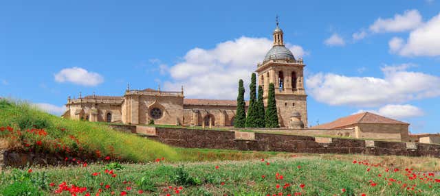 Visita guiada por Ciudad Rodrigo en Ciudad Rodrigo
