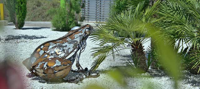 Visita guiada por el BIBO PARK Ibiza Botánico Biotecnológico en San Rafael De La Cruz