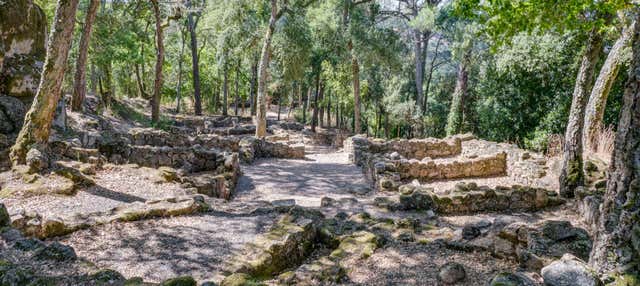 Visita guiada por el Castro de Santomé en Orense