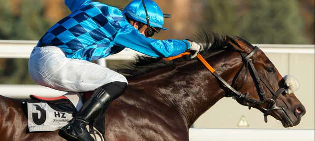 Visita guiada por el hipódromo de la Zarzuela en Madrid