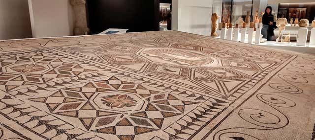 Visita guiada por el Museo Arqueológico de Málaga en Malaga